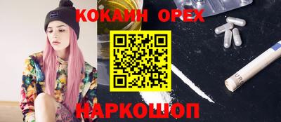 ALPHA PVP Камышлов