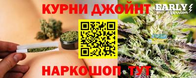 ALPHA PVP Камышлов