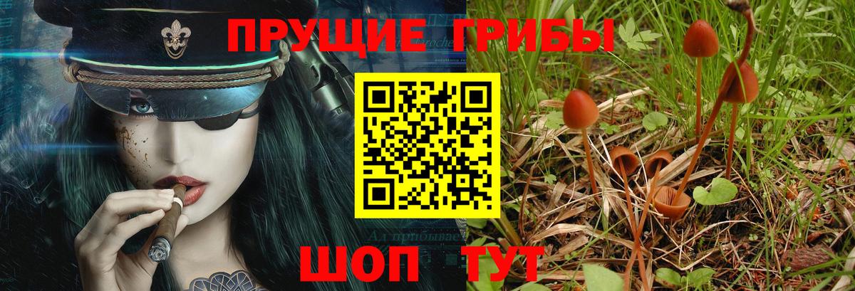 Галлюциногенные грибы Cubensis  Вход с VPN  Иркутск 